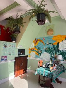 TV a/nebo společenská místnost v ubytování Casa Verde - Hostel