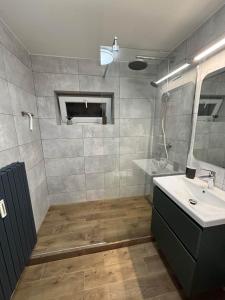 a bathroom with a shower and a sink and a mirror at Hrabůvka Living in Ostrava +8 photos