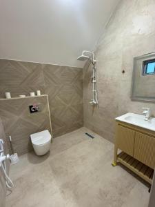 a bathroom with a toilet and a sink at Görədil bağ evi in Mekhrably +11 photos