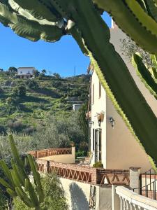a view of a house and a cactus at Cortijo Chupito in Yunquera +17 photos