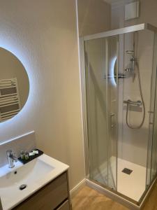 a bathroom with a shower and a sink at Résidence Saint Pôl in Nogent-le-Rotrou
