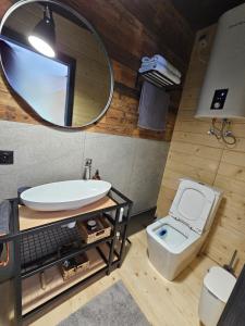 a bathroom with a sink and a toilet and a mirror at Модрина Космач ko kosmach in Kozmacz