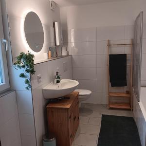 a bathroom with a sink and a toilet and a mirror at Ferienwohnung Grünes Leben in Simmerath
