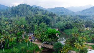 an aerial view of a river with palm trees and a bridge at Rainforest Jungle Chill Singharaja in Deniyaya