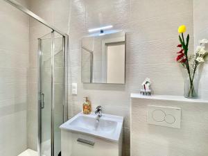 a bathroom with a sink and a shower and a mirror at Comfortable 1-Bedroom Central Menton in Menton +14 photos