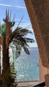 a view of the ocean from a palm tree at Séjour bord de mer Résidence avec piscine Cannes in Cannes