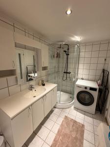 a bathroom with a sink and a washing machine at Norefri - Norefjell in Noresund +24 photos