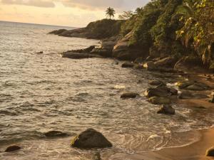 a beach with rocks and a palm tree and the ocean at Exotic Paradise Guest House in Yabucoa