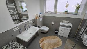 Bany a Ferienwohnung Talblick in Merzig 39 fotos més
