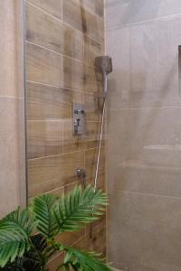 a shower with a shower head in a bathroom at The White House Split in Split +16 photos