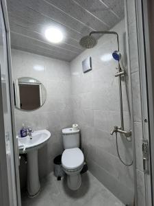 a small bathroom with a toilet and a sink at luiza in Batumi