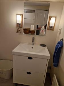 a bathroom with a white sink and a mirror at Kolmårdstorpet Blomsätter in Kolmården +13 photos