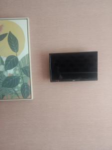 a black cat is sitting next to a tv on a wall at L'Instant des Hôtes in Combrit