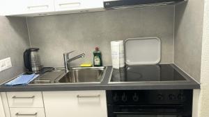 a kitchen with a sink and a counter top at Piso Chauderon in Lausanne