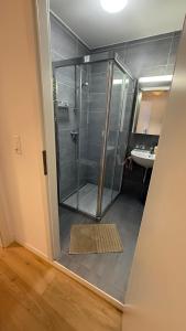 a shower stall in a bathroom with a sink at Piso Chauderon in Lausanne