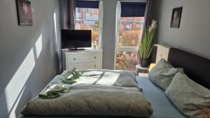 a bed in a room with a television and a window at Stadtnah an der Förde 116 in Flensburg