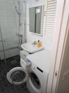 a bathroom with a washing machine and a sink at A charming countryside accommodation near Malm in Oxie +6 photos