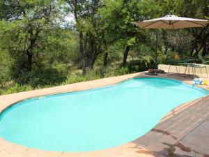 a large blue swimming pool with an umbrella at Meulensrus in Hoedspruit +28 photos