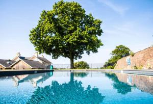 a tree in the middle of a swimming pool at Coed Helen Holiday Park in Caernarfon