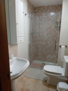 a bathroom with a shower and a toilet and a sink at Piso Adrian in Sierra de Outes +9 photos