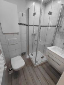 a bathroom with a shower and a toilet and a sink at Ferienwohnung Sandküste mit Strandkorb & Indoor Spielplatz in Heiligenhafen +10 photos