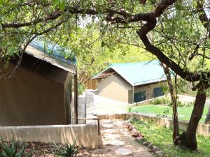 a house with a tree in front of a yard at Meulensrus in Hoedspruit