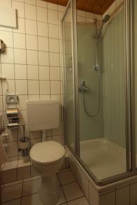 a bathroom with a toilet and a shower at Gasthaus Grüner Baum in Prichsenstadt +22 photos