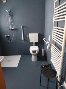 a blue bathroom with a toilet and a shower at Ostello S. Fosca - CPU Venice Hostels in Venice +117 photos