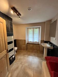 a bathroom with a sink and a toilet and a window at La Demeure des Forges in Grandfontaine +57 photos