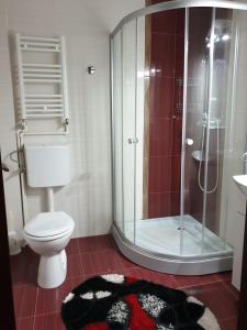 ein Badezimmer mit Dusche, Toilette und Teppich in der Unterkunft Casa Marly in Caracal
