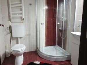 ein Badezimmer mit Toilette und Glasdusche in der Unterkunft Casa Marly in Caracal