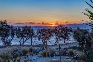a sunset on the beach with trees and the ocean at Thalassa Naxos in Kastraki