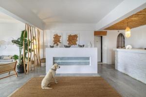 a dog sitting on a rug in a living room at Thalassa Naxos in Kastraki +95 photos
