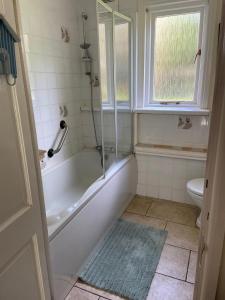 a bathroom with a shower and a tub and a toilet at Bolthole in Hayle
