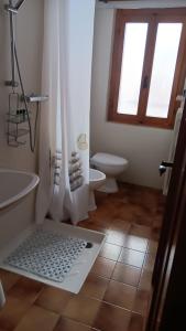 a bathroom with a shower and a sink and a toilet at Chalet Luisa in Cima Gogna
