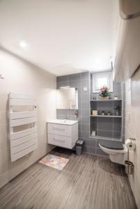 a bathroom with a sink and a toilet at Appartement Sun GroupamaLyon Eurexpo in Meyzieu
