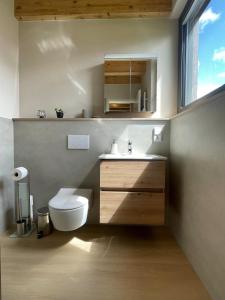 a bathroom with a toilet and a sink and a window at Gartenlodge im Grünen in Feuerscheid