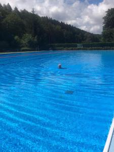a person swimming in a large pool of blue water at Exklusives Appartement mit Flair in Oelsnitz