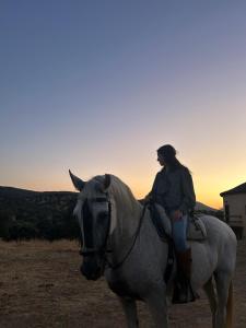 a woman sitting on a horse in a field at ALOJAMIENTO TURISTICO- AGROTURISMO Dehesa La Pared in Chillón