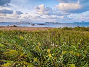 a bridge over the water on a beach at Occidental Mar Menor in Cartagena