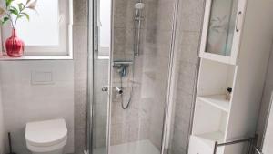 a bathroom with a shower with a toilet and a sink at Studioraum nähe Koblenz in Sankt Sebastian +9 photos