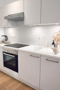 a white kitchen with a sink and a stove at Suites in Mödling in Mödling +4 photos