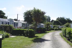 a house with a palm tree on a dirt road at Camping Kerscolper - Mobil home 3 pièces 4/6 personnes + TV MAE-9591 in Fouesnant