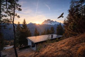 a bird flying over a house in the mountains at Chalet DolceVista con SPA, vicino a Cortina d'Ampezzo in Borca di Cadore