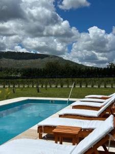a row of lounging chairs next to a swimming pool at Bodegas y Viñedos Balcarce in Balcarce
