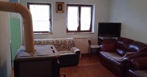 a living room with a couch and a tv at Vila Gorocvet in Sremska Kamenica