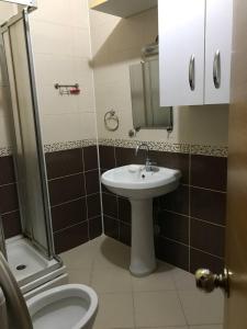 a bathroom with a sink and a shower and a toilet at Nefes Evleri in Istanbul