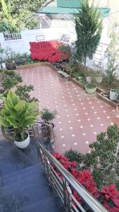 a garden with benches and red flowers and plants at Hà Chi Villla Hà Giang in Ha Giang