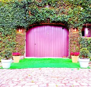 a pink door with ivy on a building with plants at La Ferme des Roses in Tournai