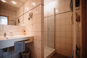 a bathroom with a sink and a shower at Landhaus Schönfelder Hof in Hollfeld